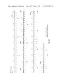 ANTI-KIT ANTIBODIES AND USES THEREOF diagram and image