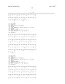 ANTI-KIT ANTIBODIES AND USES THEREOF diagram and image