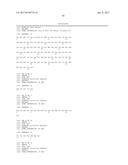 ANTI-KIT ANTIBODIES AND USES THEREOF diagram and image