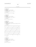 ANTI-KIT ANTIBODIES AND USES THEREOF diagram and image