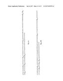 ANTI-KIT ANTIBODIES AND USES THEREOF diagram and image