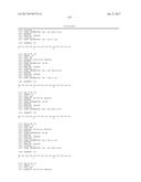 ANTI-KIT ANTIBODIES AND USES THEREOF diagram and image