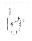 ANTI-KIT ANTIBODIES AND USES THEREOF diagram and image