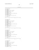 ANTI-KIT ANTIBODIES AND USES THEREOF diagram and image