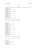 ANTI-KIT ANTIBODIES AND USES THEREOF diagram and image