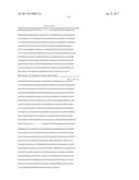 DIMERIC REVERSE TRANSCRIPTASE diagram and image