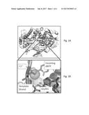 METHODS, SYSTEMS, AND REAGENTS FOR DIRECT RNA SEQUENCING diagram and image