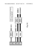 CALB Variants diagram and image