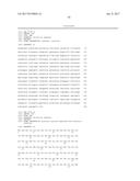 PAENIBACILLUS AND BACILLUS SPP. MANNANASES diagram and image