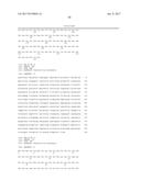 PAENIBACILLUS AND BACILLUS SPP. MANNANASES diagram and image