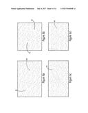 MULTISPECTRAL IMAGING SYSTEM AND METHOD FOR DETECTING FOREIGN OBJECT     DEBRIS diagram and image