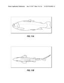 Transmitters for Animals and Methods for Transmitting from Animals diagram and image