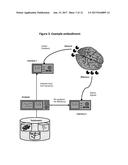SYSTEM, METHOD, AND APPLICATIONS OF USING THE FUNDAMENTAL CODE UNIT AND     BRAIN LANGUAGE diagram and image