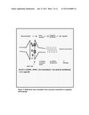 SYSTEM, METHOD, AND APPLICATIONS OF USING THE FUNDAMENTAL CODE UNIT AND     BRAIN LANGUAGE diagram and image