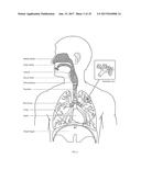 REAL-TIME DETECTION OF PERIODIC BREATHING diagram and image