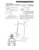 VESSEL FLOW CONTROL DEVICES AND METHODS diagram and image