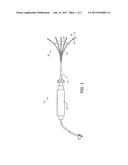 STABILIZED SPINE ELECTROPHYSIOLOGIC CATHETER diagram and image