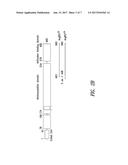 INNOVATIVE DISCOVERY OF THERAPEUTIC, DIAGNOSTIC, AND ANTIBODY COMPOSITIONS     RELATED TO PROTEIN FRAGMENTS OF ARGINYL-TRNA SYNTHETASES diagram and image