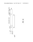 INNOVATIVE DISCOVERY OF THERAPEUTIC, DIAGNOSTIC, AND ANTIBODY COMPOSITIONS     RELATED TO PROTEIN FRAGMENTS OF ARGINYL-TRNA SYNTHETASES diagram and image