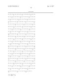 INNOVATIVE DISCOVERY OF THERAPEUTIC, DIAGNOSTIC, AND ANTIBODY COMPOSITIONS     RELATED TO PROTEIN FRAGMENTS OF ARGINYL-TRNA SYNTHETASES diagram and image