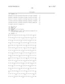 INNOVATIVE DISCOVERY OF THERAPEUTIC, DIAGNOSTIC, AND ANTIBODY COMPOSITIONS     RELATED TO PROTEIN FRAGMENTS OF ARGINYL-TRNA SYNTHETASES diagram and image