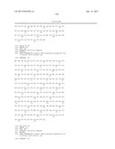 INNOVATIVE DISCOVERY OF THERAPEUTIC, DIAGNOSTIC, AND ANTIBODY COMPOSITIONS     RELATED TO PROTEIN FRAGMENTS OF ARGINYL-TRNA SYNTHETASES diagram and image