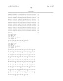 INNOVATIVE DISCOVERY OF THERAPEUTIC, DIAGNOSTIC, AND ANTIBODY COMPOSITIONS     RELATED TO PROTEIN FRAGMENTS OF ARGINYL-TRNA SYNTHETASES diagram and image