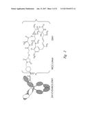 BCMA  ANTIGEN BINDING PROTEINS diagram and image