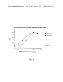 BCMA  ANTIGEN BINDING PROTEINS diagram and image