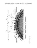 ANTIBIOTIC PROTOCELLS AND RELATED PHARMACEUTICAL FORMULATIONS AND METHODS     OF TREATMENT diagram and image