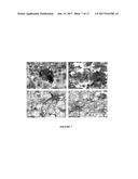 VARIABLE DOMAINS OF CAMELID HEAVY-CHAIN ANTIBODIES DIRECTED AGAINST GLIAL     FIBRILLARY ACIDIC PROTEINS diagram and image