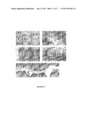 VARIABLE DOMAINS OF CAMELID HEAVY-CHAIN ANTIBODIES DIRECTED AGAINST GLIAL     FIBRILLARY ACIDIC PROTEINS diagram and image