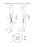 Catheter Assembly Including a Multi-Lumen Configuration diagram and image