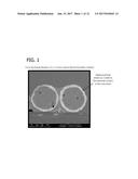 SHAPED POROUS CARBON PRODUCTS diagram and image