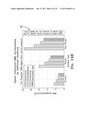 TIRE SENSOR-BASED ROBUST ROAD SURFACE ROUGHNESS CLASSIFICATION SYSTEM AND     METHOD diagram and image