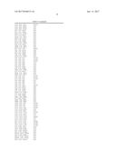 Crystalline Forms of     (-)-(1R,2R)-3-(3-dimethylamino-1-ethyl-2-methylpropyl)-phenol     hydrochloride diagram and image