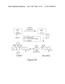 O-GLCNAC TRANSFERASE (OGT) INHIBITORS AND USES THEREOF diagram and image