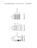 O-GLCNAC TRANSFERASE (OGT) INHIBITORS AND USES THEREOF diagram and image