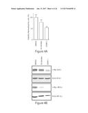 O-GLCNAC TRANSFERASE (OGT) INHIBITORS AND USES THEREOF diagram and image