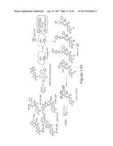 O-GLCNAC TRANSFERASE (OGT) INHIBITORS AND USES THEREOF diagram and image