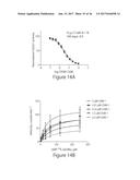 O-GLCNAC TRANSFERASE (OGT) INHIBITORS AND USES THEREOF diagram and image