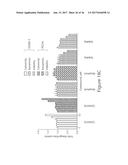 O-GLCNAC TRANSFERASE (OGT) INHIBITORS AND USES THEREOF diagram and image