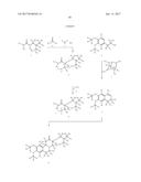 BENZOQUINOLINE INHIBITORS OF VESICULAR MONOAMINE TRANSPORTER 2 diagram and image