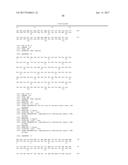 HUMAN-DERIVED ANTI-HUNTINGTIN (HTT) ANTIBODIES AND USES THEREOF diagram and image