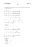 HUMAN-DERIVED ANTI-HUNTINGTIN (HTT) ANTIBODIES AND USES THEREOF diagram and image