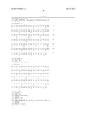 HUMAN-DERIVED ANTI-HUNTINGTIN (HTT) ANTIBODIES AND USES THEREOF diagram and image