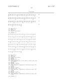 HUMAN-DERIVED ANTI-HUNTINGTIN (HTT) ANTIBODIES AND USES THEREOF diagram and image