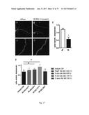 HUMAN-DERIVED ANTI-HUNTINGTIN (HTT) ANTIBODIES AND USES THEREOF diagram and image