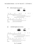 HUMAN-DERIVED ANTI-HUNTINGTIN (HTT) ANTIBODIES AND USES THEREOF diagram and image