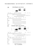 HUMAN-DERIVED ANTI-HUNTINGTIN (HTT) ANTIBODIES AND USES THEREOF diagram and image